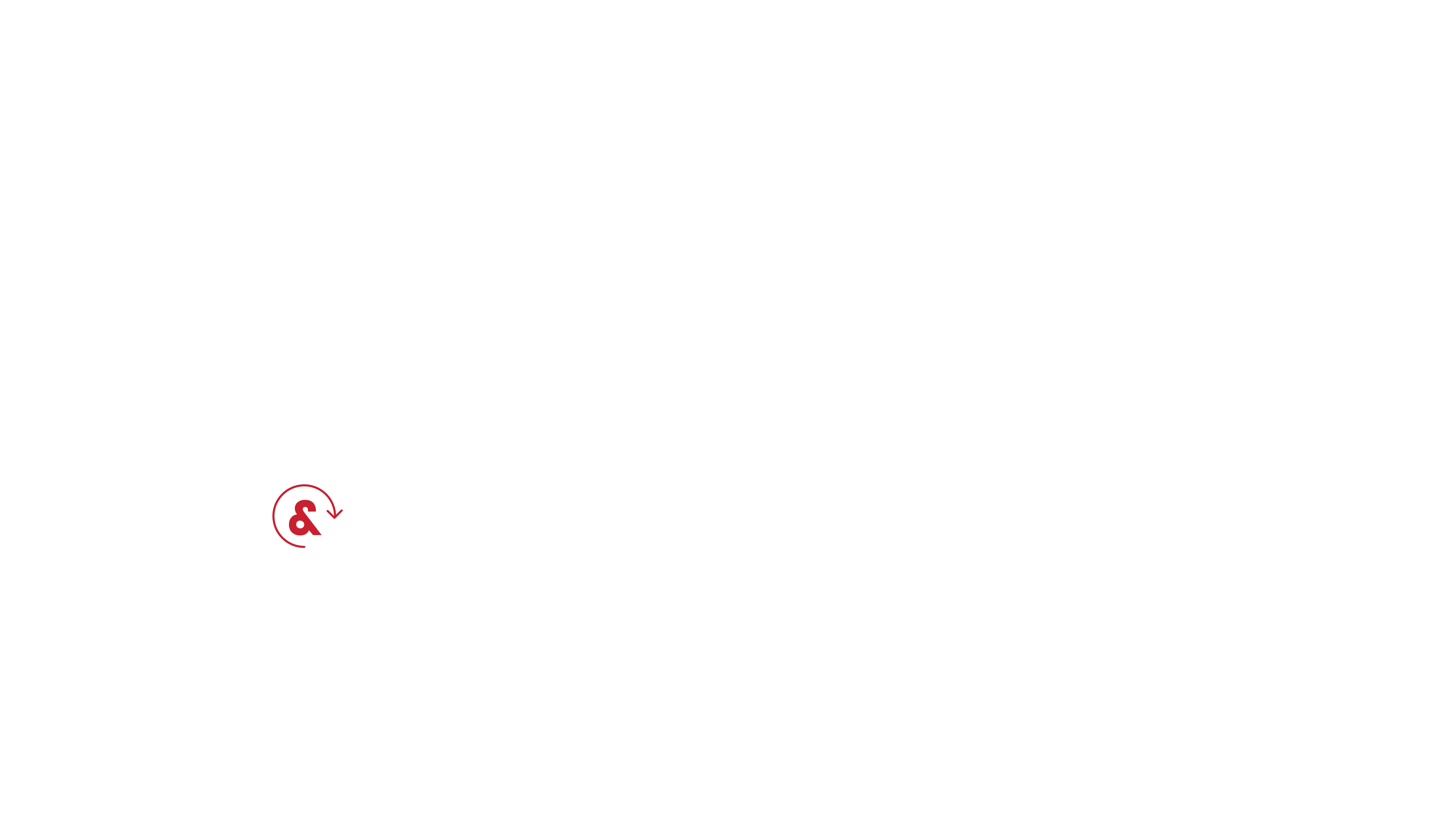 CJV_partnersinmobilizing-infographic