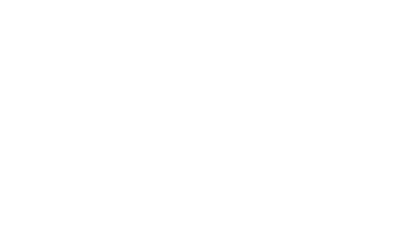 CJV_icon_crane-white